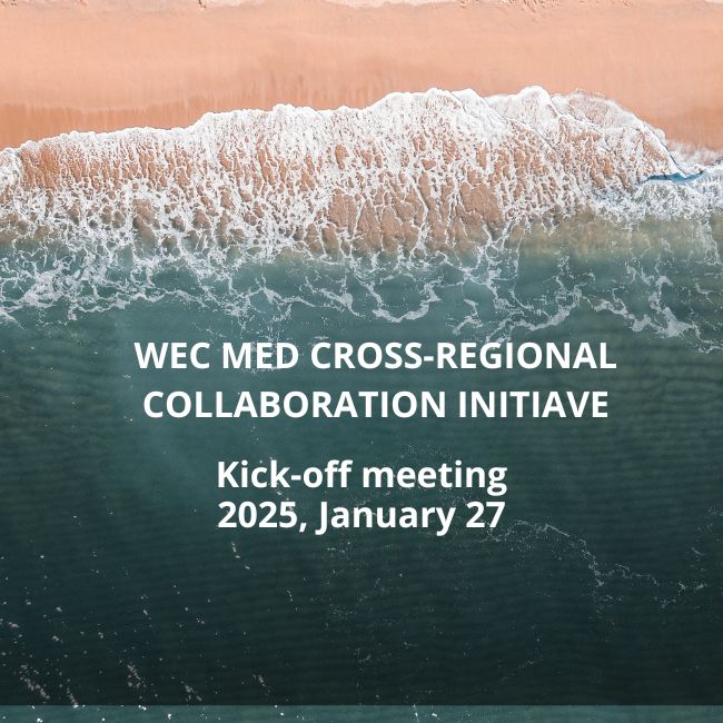 <p>WEC Med Cross-regional Collaboration Initiative - Kick off meeting 2025</p>
